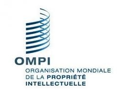 Organisation mondiale de la proprit intellectuelle (OMPI)